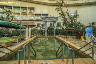 吹着海风，泡着温泉，这个夏天有点不一样 人工造浪设备的奇妙体验