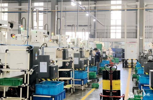 玉商本色，逐浪前行——玉环工程机械产业抢抓机遇拓市场、趁势而上稳增长