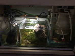 上岸清设备 福州鱼友必备设备清单及养护建议